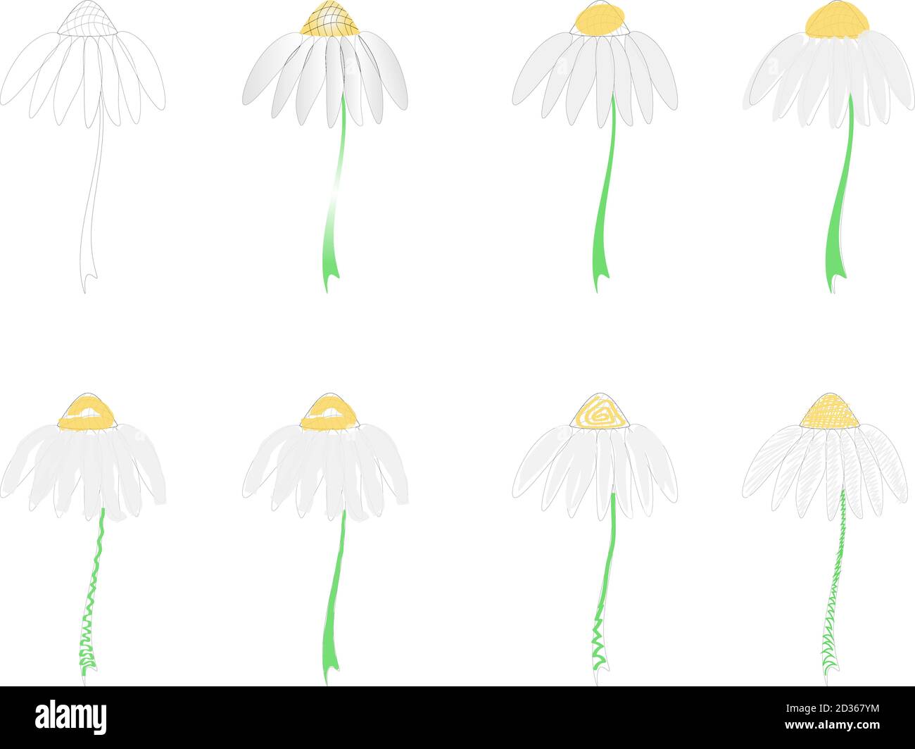 Vector set of flowers chamomiles daisys Stock Vector