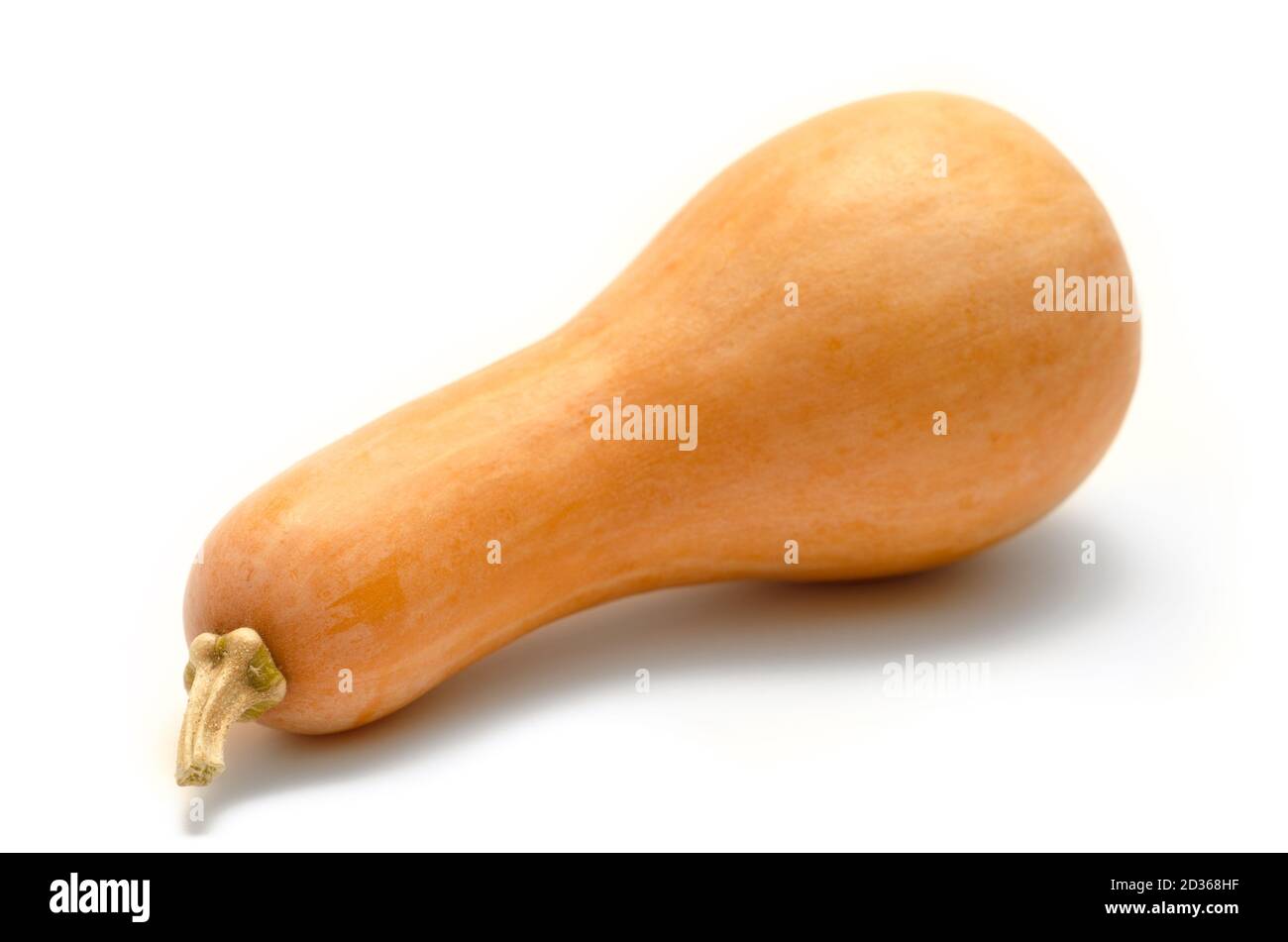 pumpkin isolated on a white background Stock Photo - Alamy