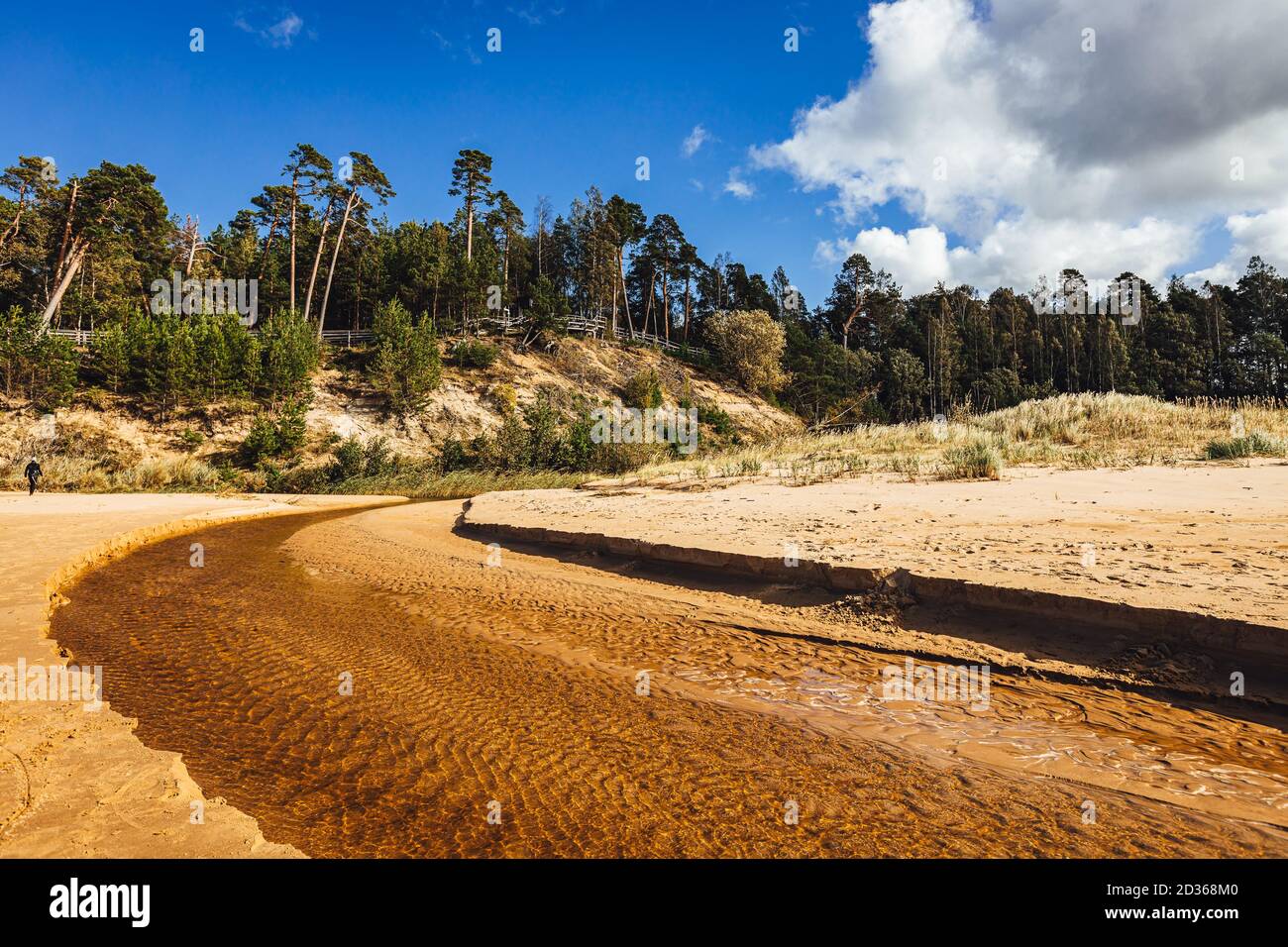Mesmerizing shot of a beautiful ocean with sandy beach under a cloudy ...