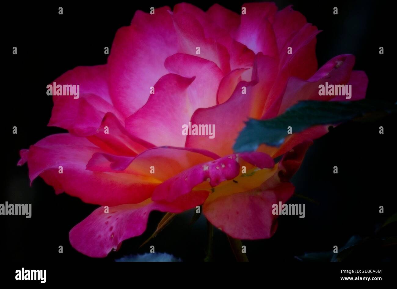 Soft glowing hi-res stock photography and images - Alamy