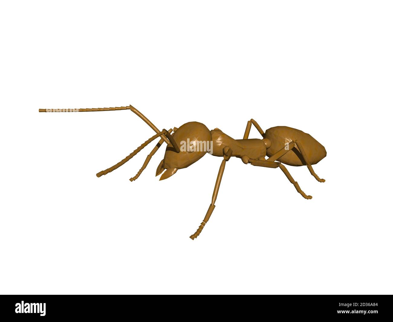 brown forest ant with antennae and compound eyes Stock Photo Alamy