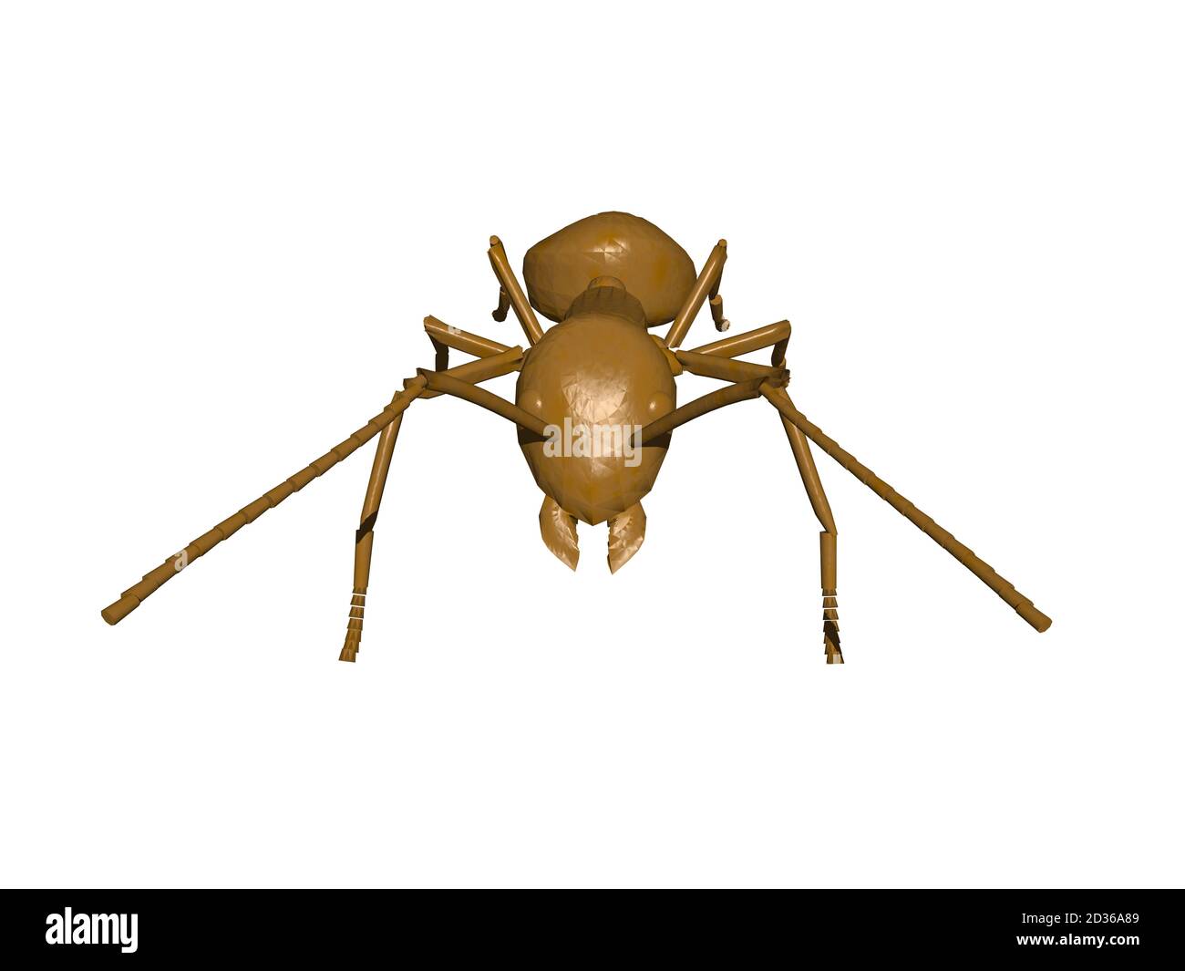 brown forest ant with antennae and compound eyes Stock Photo Alamy