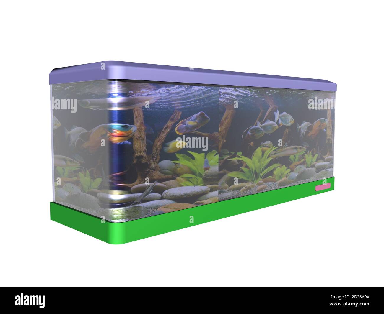 colorful aquarium with aquatic plants and fish Stock Photo Alamy