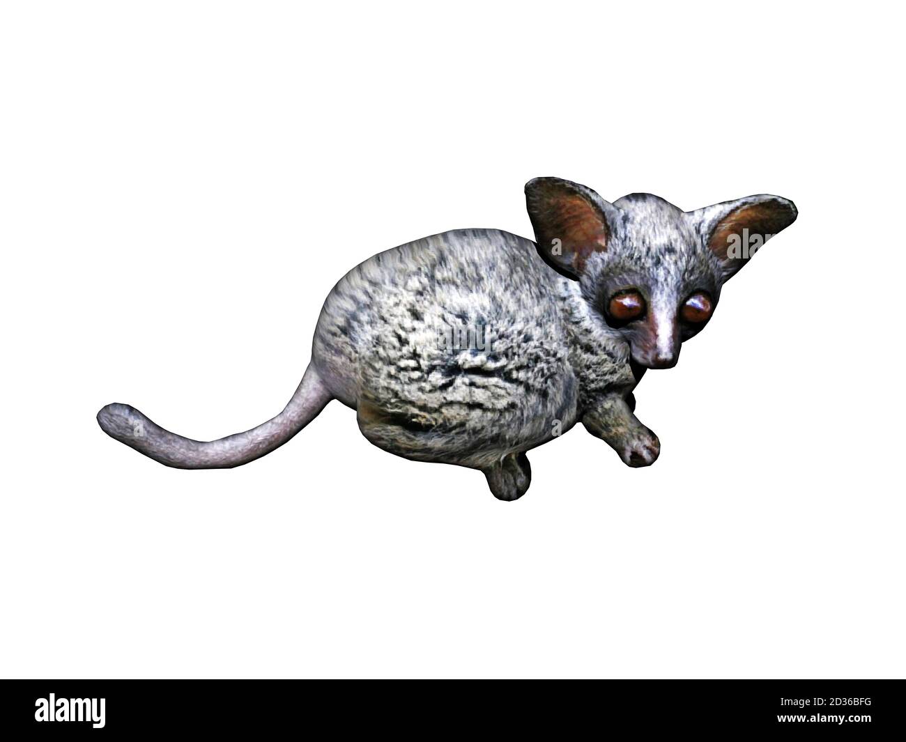 small african rodent also called bush baby Stock Photo - Alamy