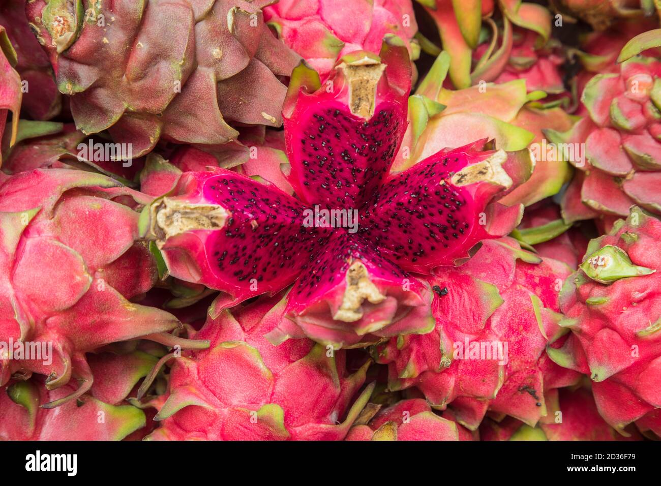 Closeup of dragon fruits for sale at market in Dhaka, Bangladesh Stock Photo