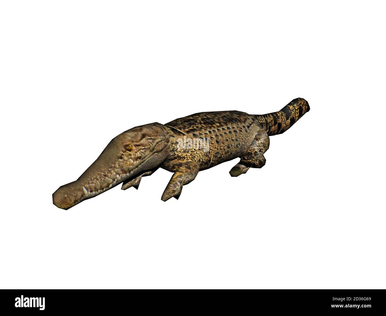 original crocodile with a long snout Stock Photo
