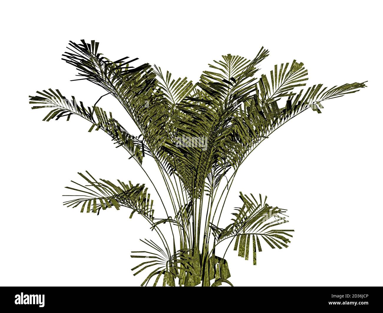 Indoor Palm Tree High Resolution Stock Photography And Images Alamy