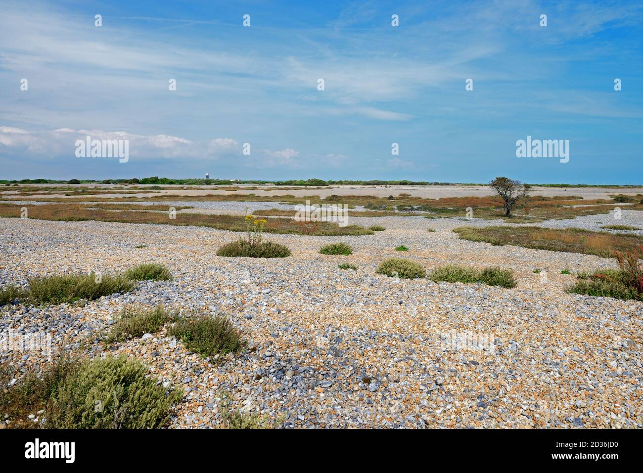 Dungeness is one of the largest expanses of shingle in Europe. In this inland area the terrain is strangely flat. Stock Photo