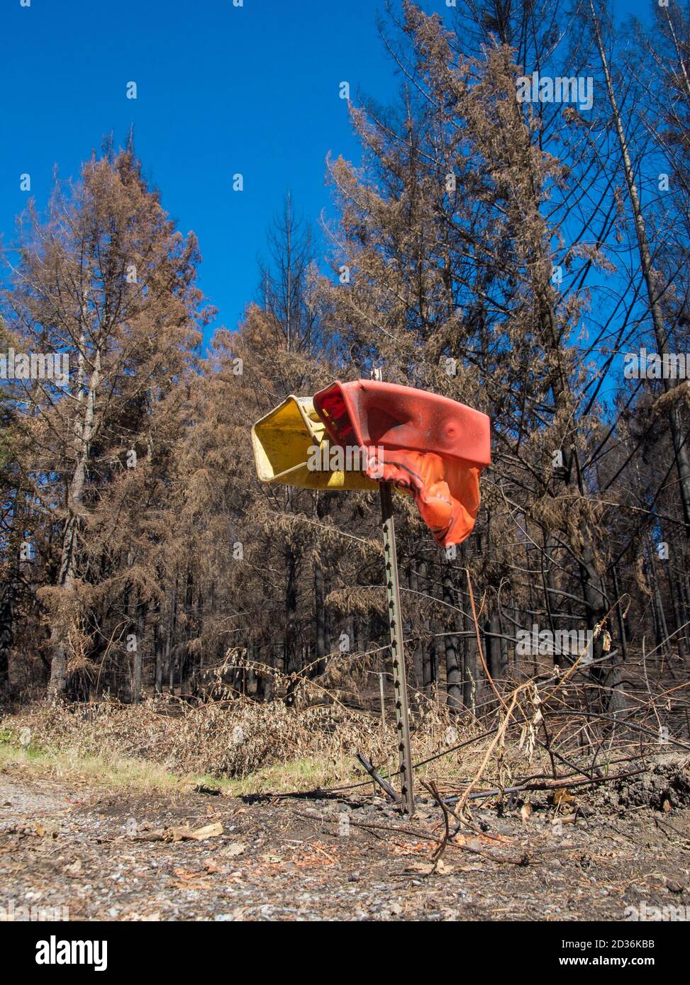 Patsy lynch hi-res stock photography and images - Alamy