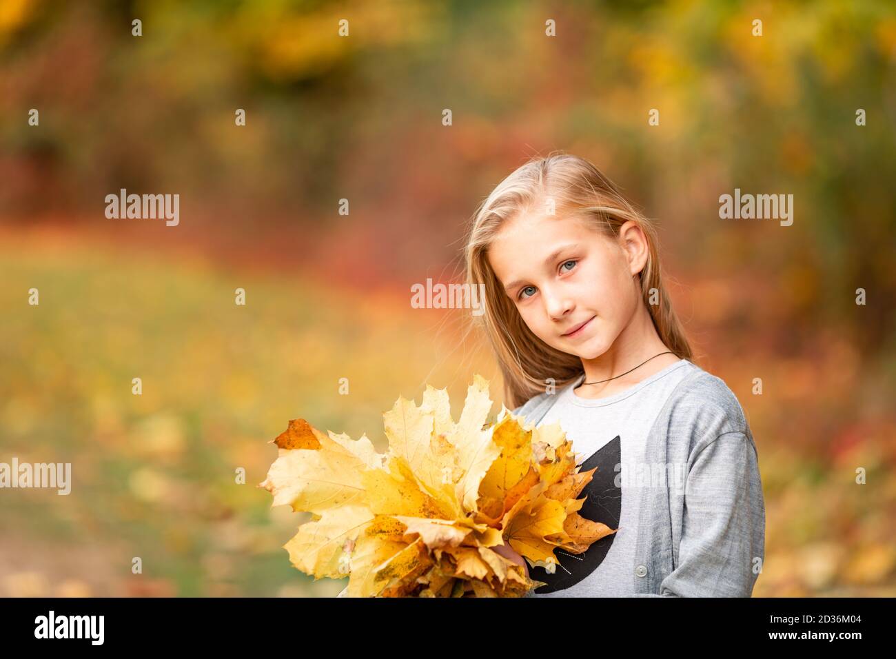 Beautiful little girl with autumn leaves in the park outdoor Stock ...