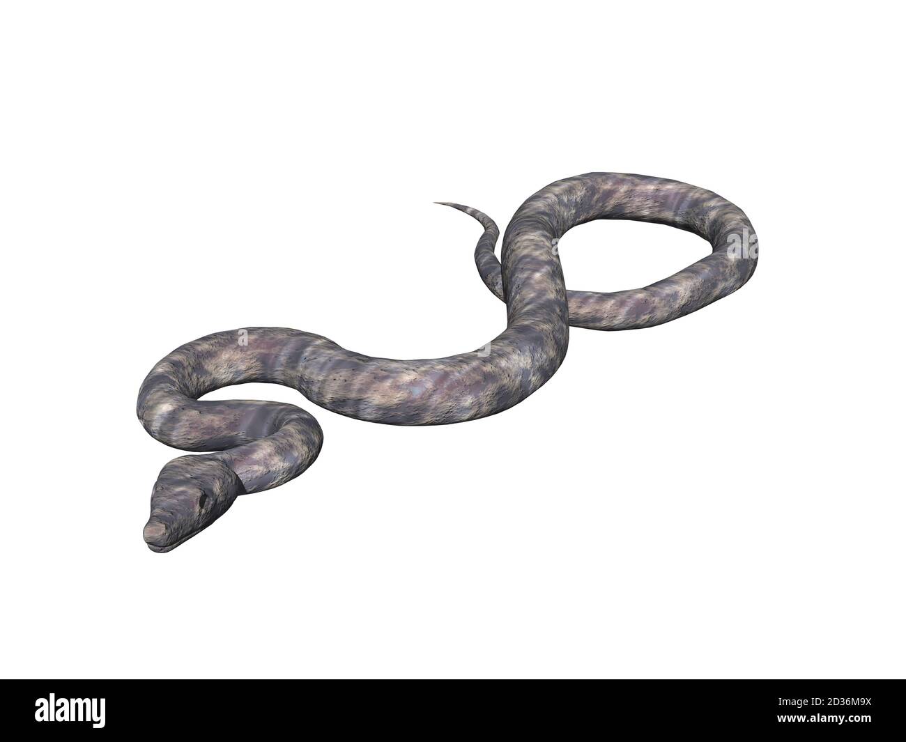 meandering snake writhing on the earth Stock Photo