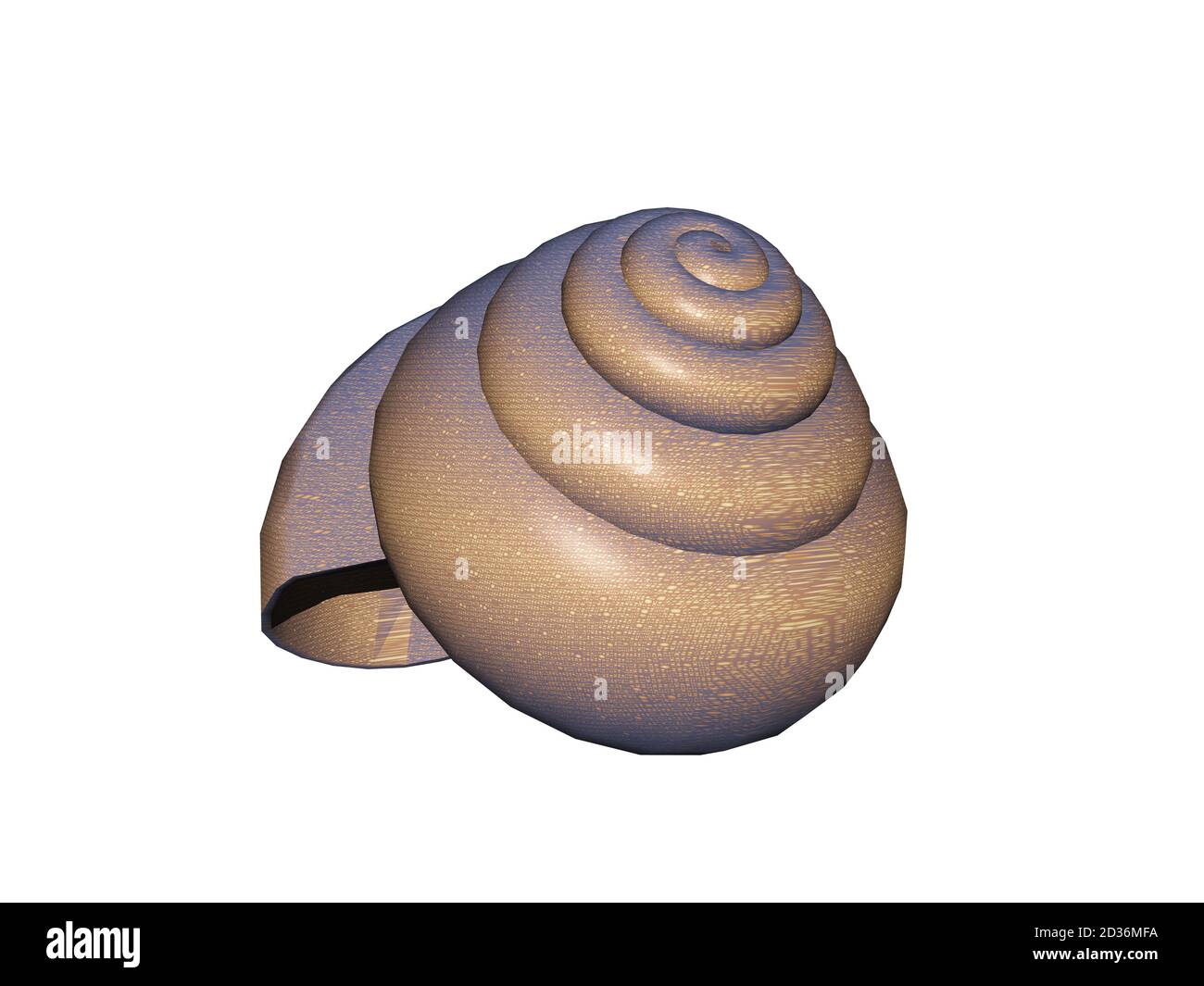 beautiful snail shell with many turns Stock Photo - Alamy