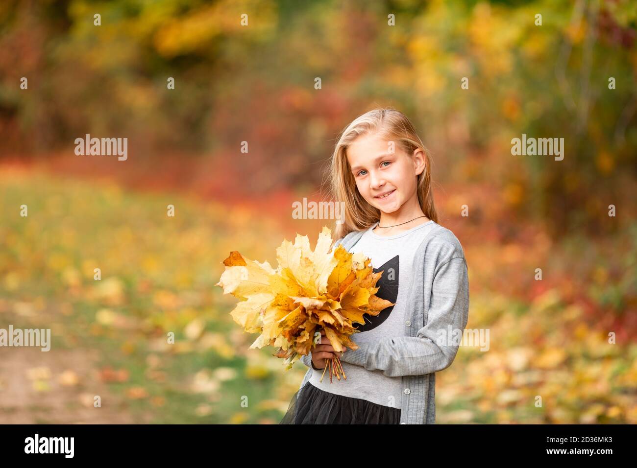 Beautiful little girl with autumn leaves in the park outdoor Stock ...