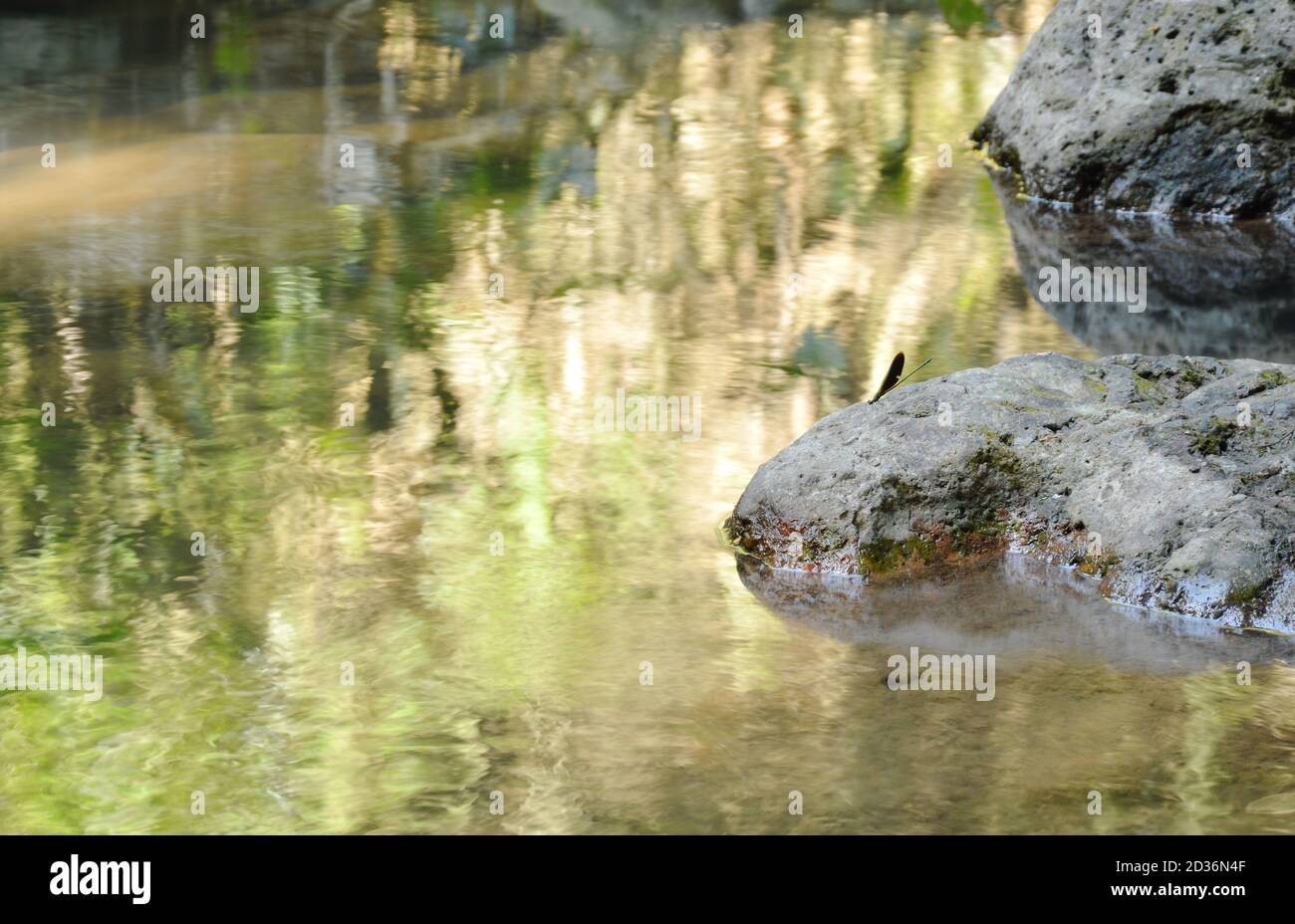 water falling on river pass rock and stone in forest Stock Photo - Alamy
