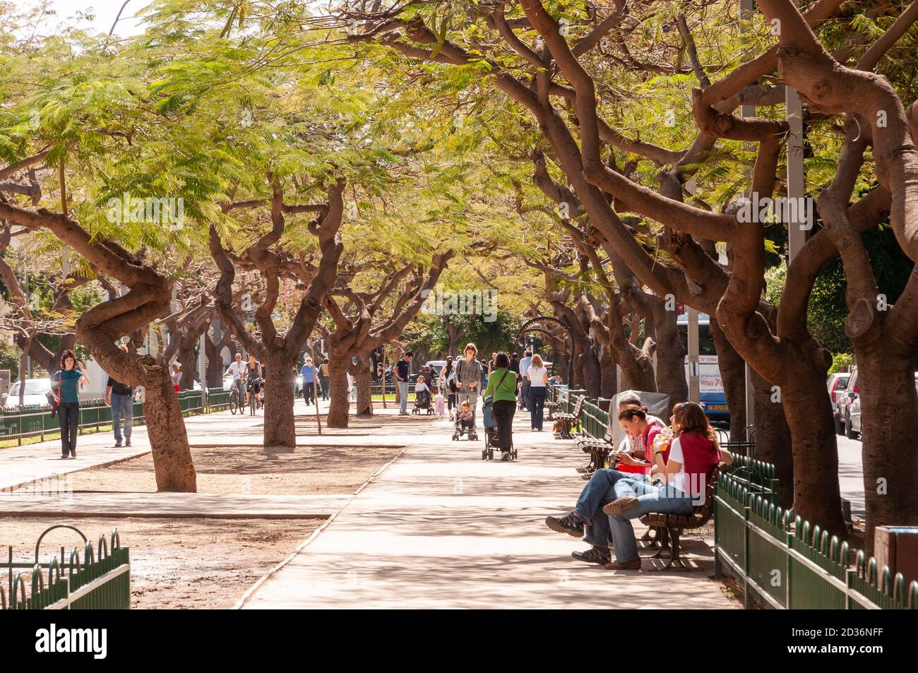 Rothschild Boulevard, Tel Aviv, Israel Stock Photo Alamy