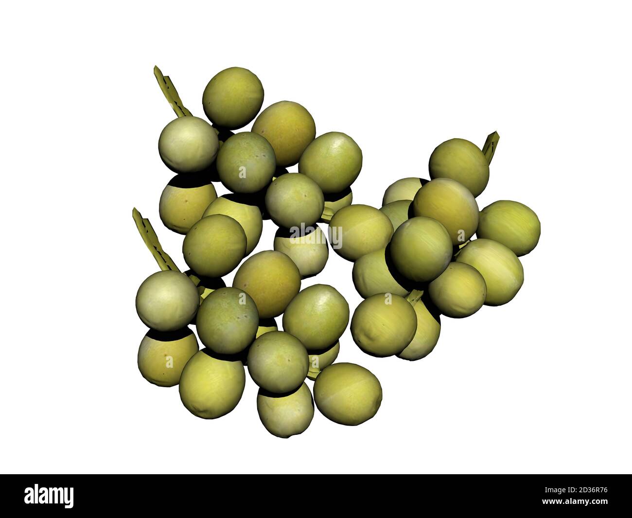 green grapes on grape Stock Photo Alamy