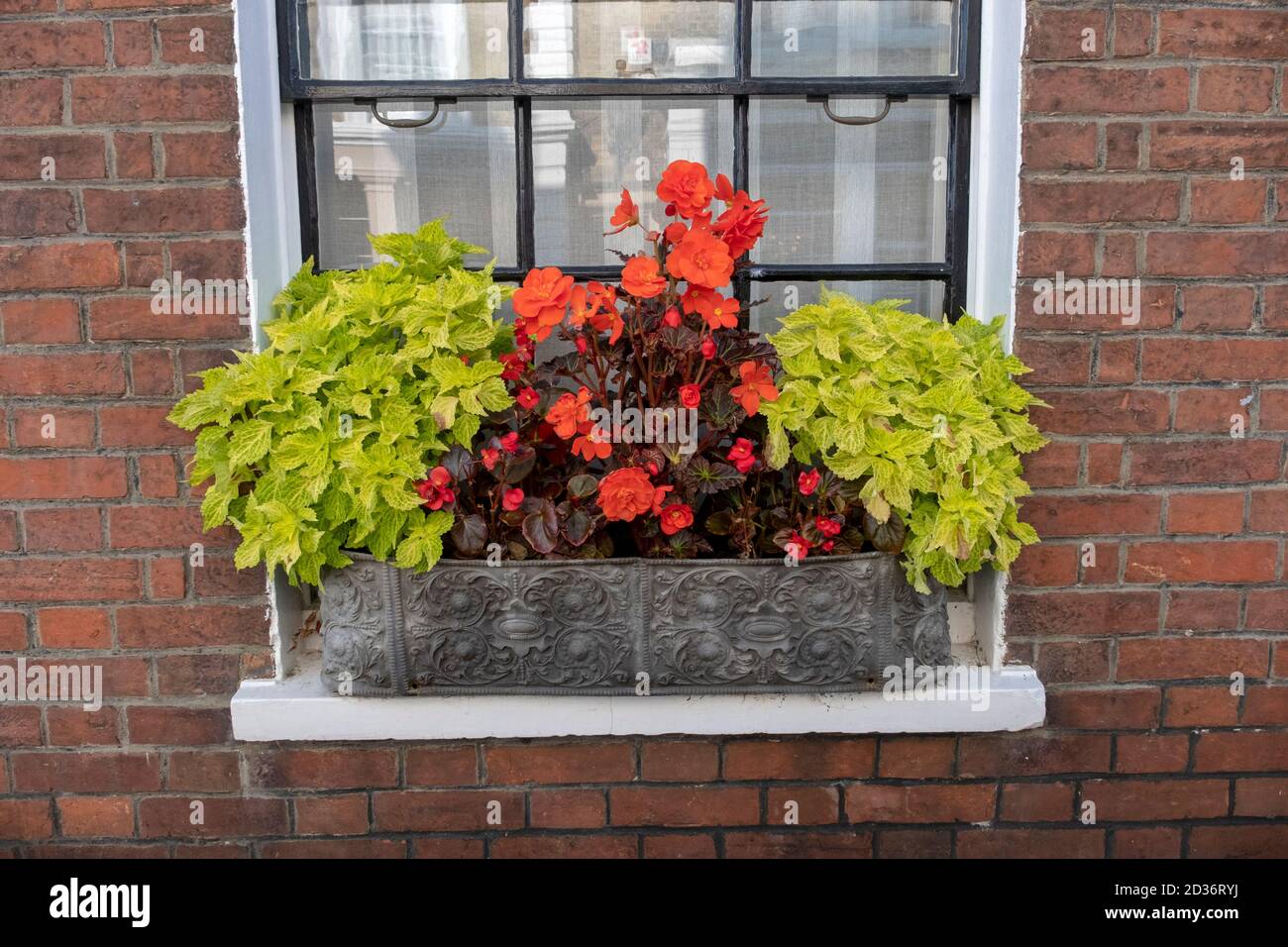 Window box uk hires stock photography and images Alamy