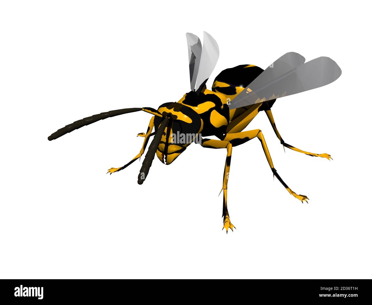 dangerous wasp with wings and sting Stock Photo - Alamy
