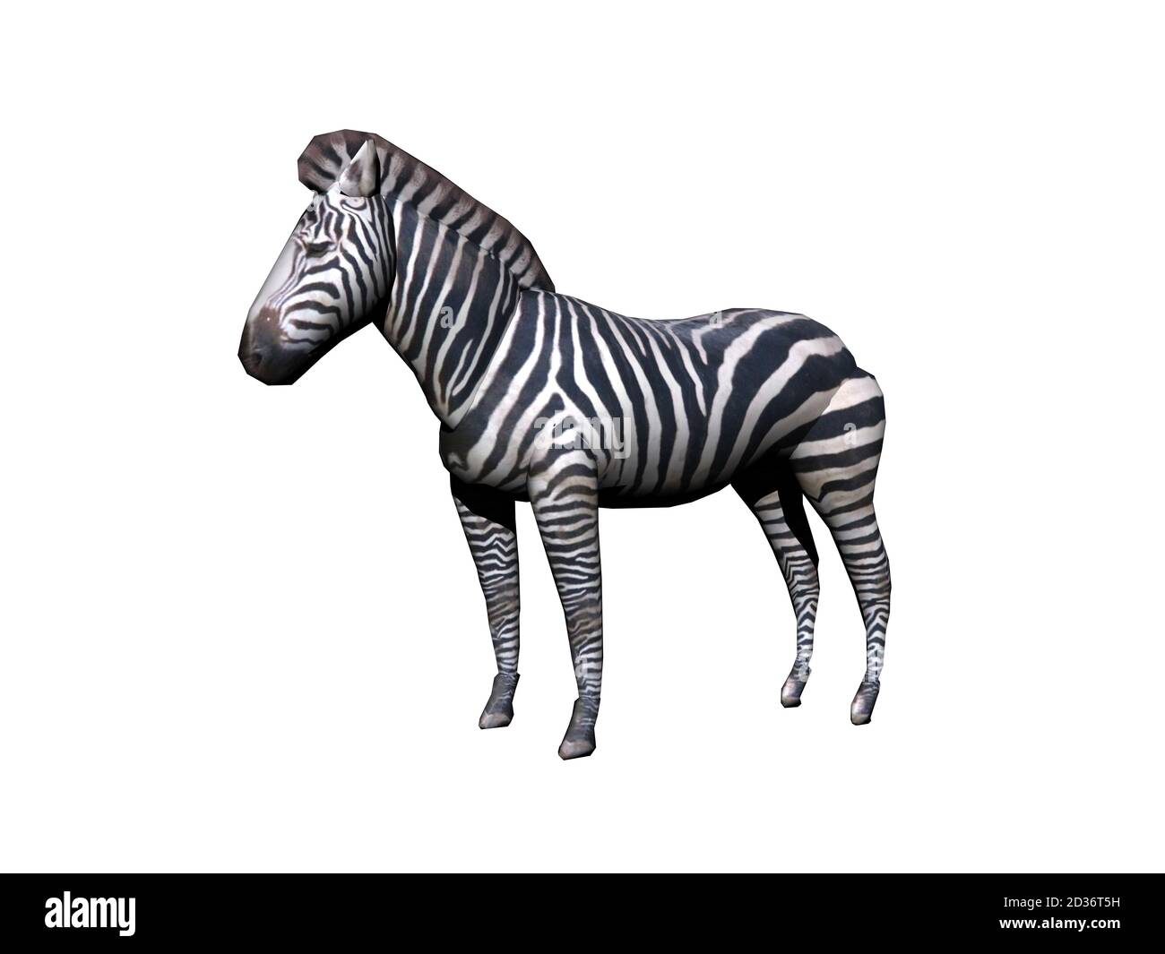 african zebra stands in the steppe Stock Photo