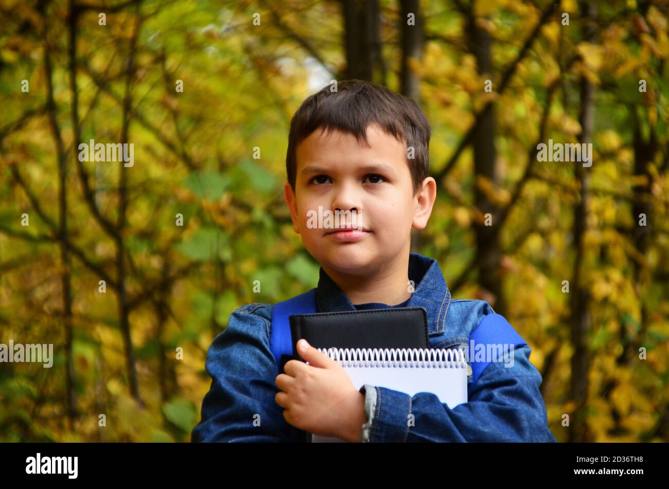 Serious teenage boy with laptop and textbooks doing homework and preparing for the exam in the park among the trees. The concept of heavy learning, a Stock Photo