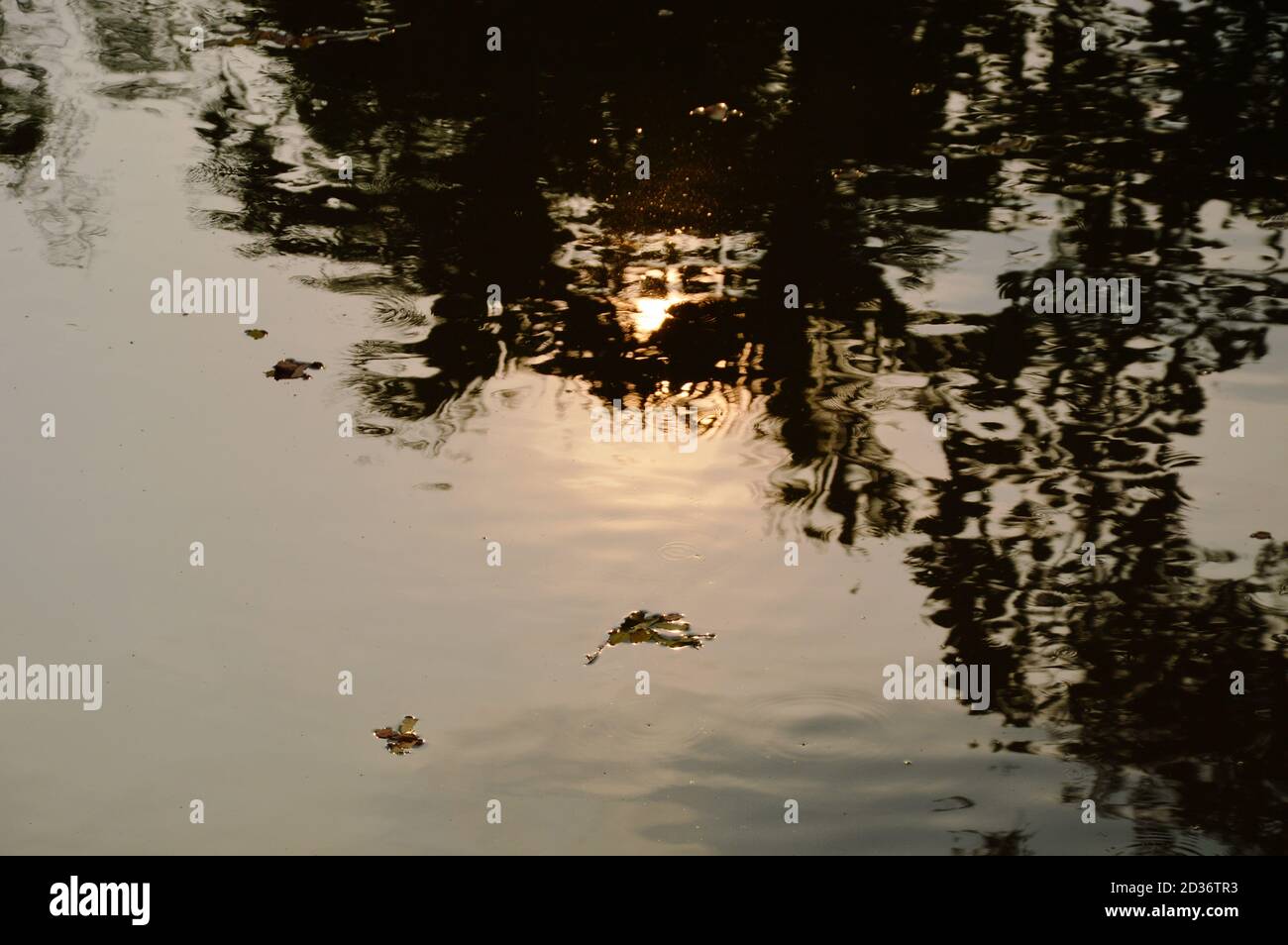 sunlight reflection on water surface in canal Stock Photo - Alamy