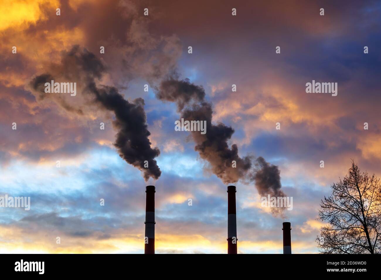 Three chimneys smoke and bare tree branches on dramatic colorful sky background. Industry pipes. Air pollution concept Stock Photo