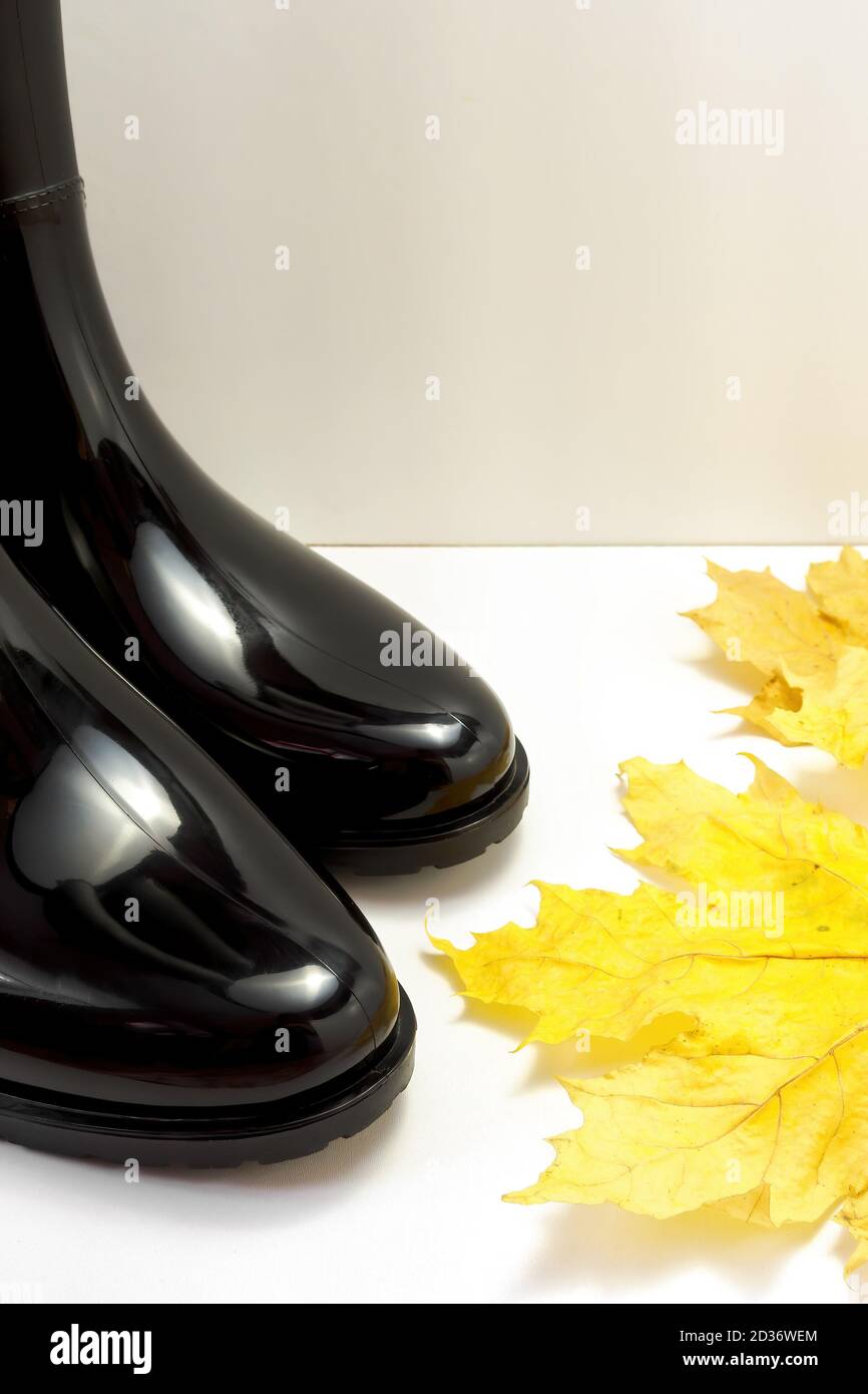 Black rubber boots and a maple leaf on a white background Stock Photo