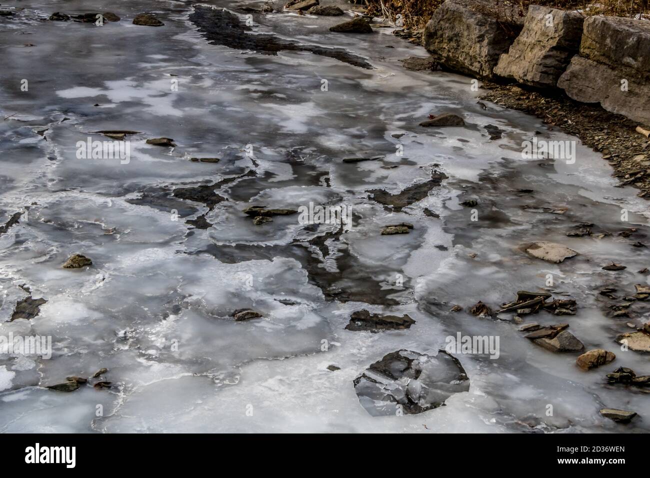 Ice Covered Sheridan Creek in Rattray Marsh Stock Photo