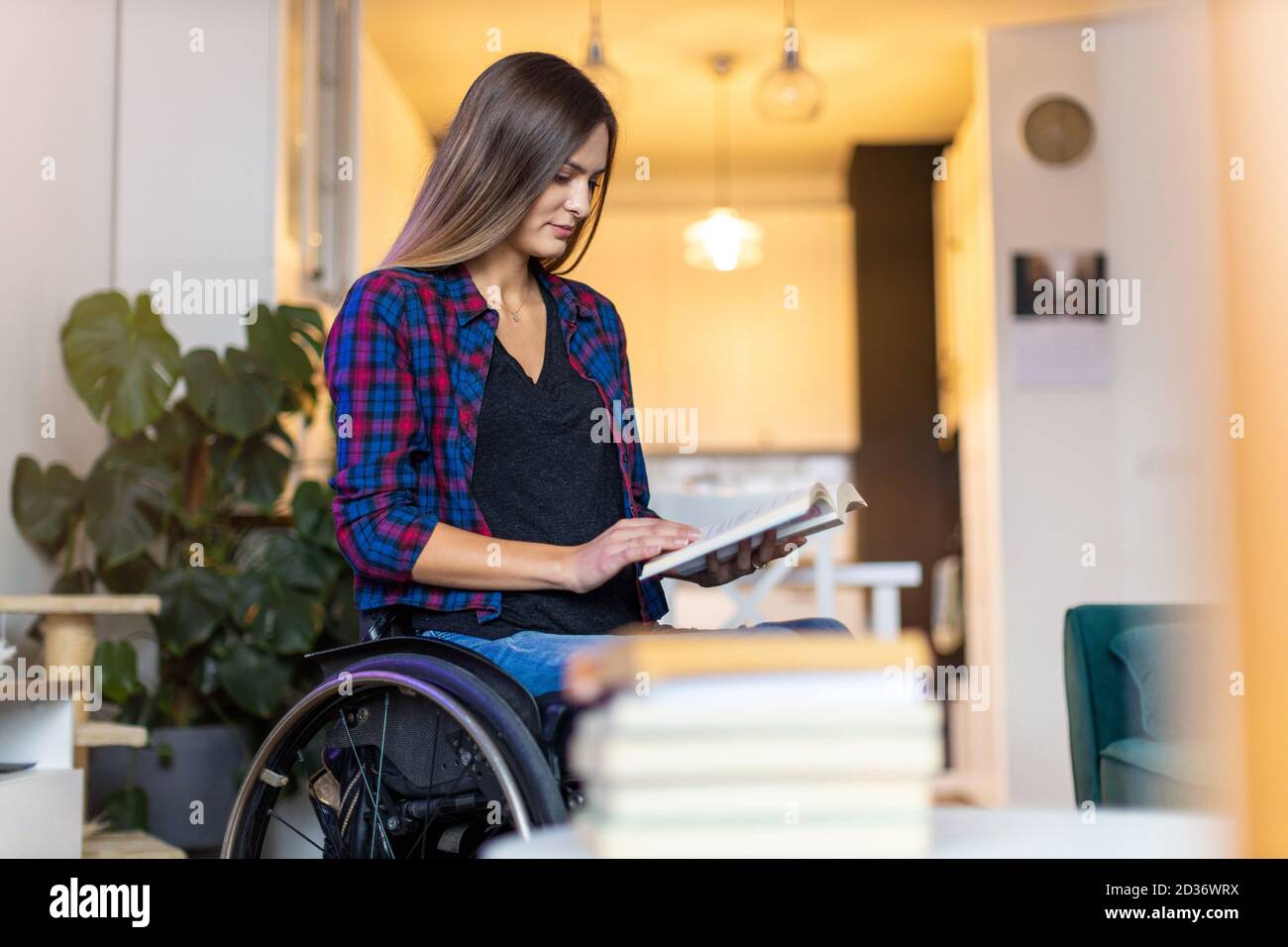 Woman in wheelchair reading a book at home Stock Photo Alamy