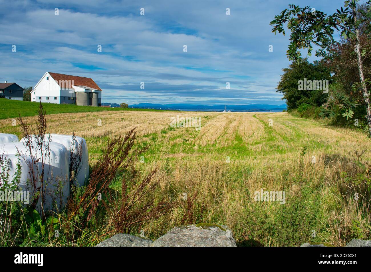 Picturesque European Farm Land And Barn - Stavanger Norway Stock Photo -  Alamy