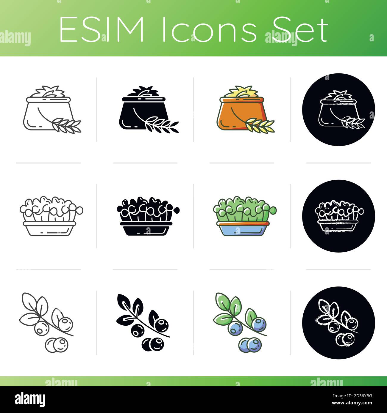 Vegetarian meals icons set. Stock Vector
