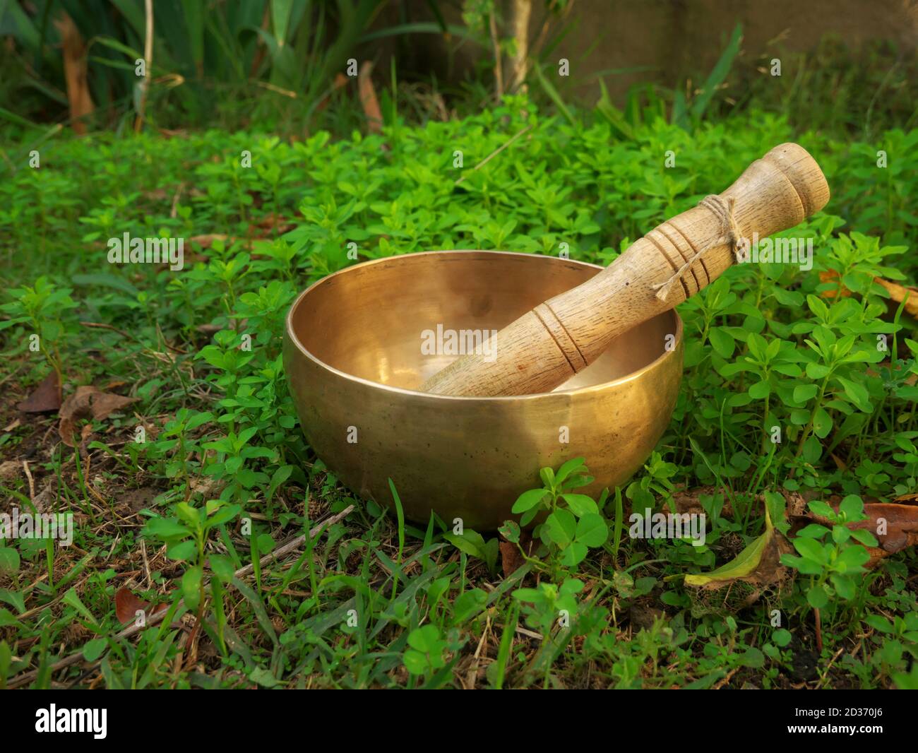 Singing bowl placed in the grass during the fall season Stock Photo
