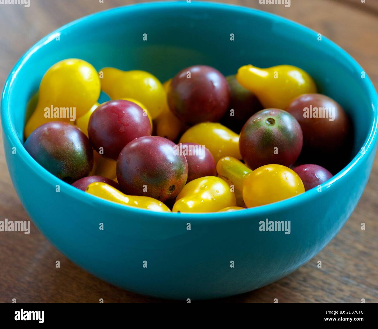Bowl of fresh yellow and purple cherry tomatoes. Stock Photo