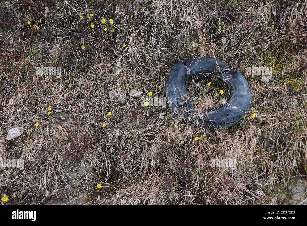 Old tire thrown away Stock Photo Alamy