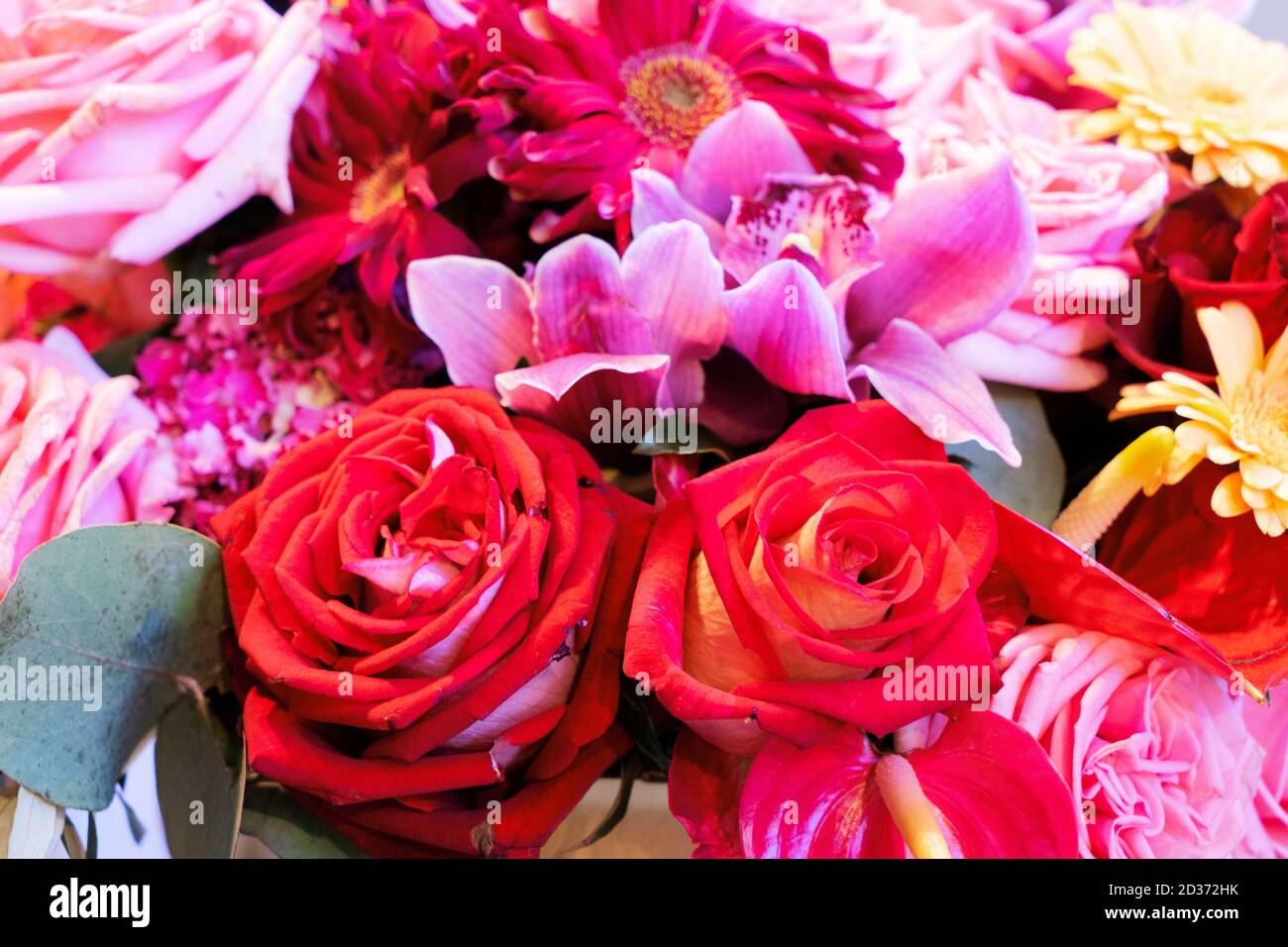 Natural flower background Stock Photo - Alamy