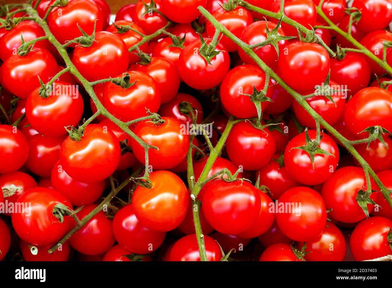 close up of cherry tomatoes on sale for sale on street market Stock ...