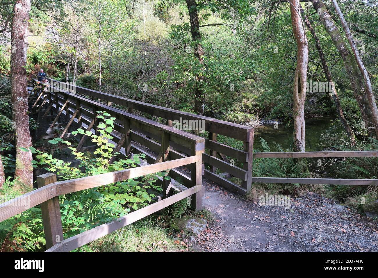 Wooden footbridge at Faerie Trail at Loch Lomond in Scotland Stock Photo