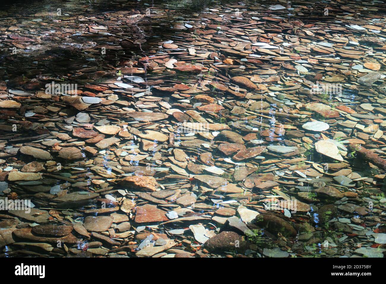 Abstract image of the colorful cobbles at the river bed Stock Photo