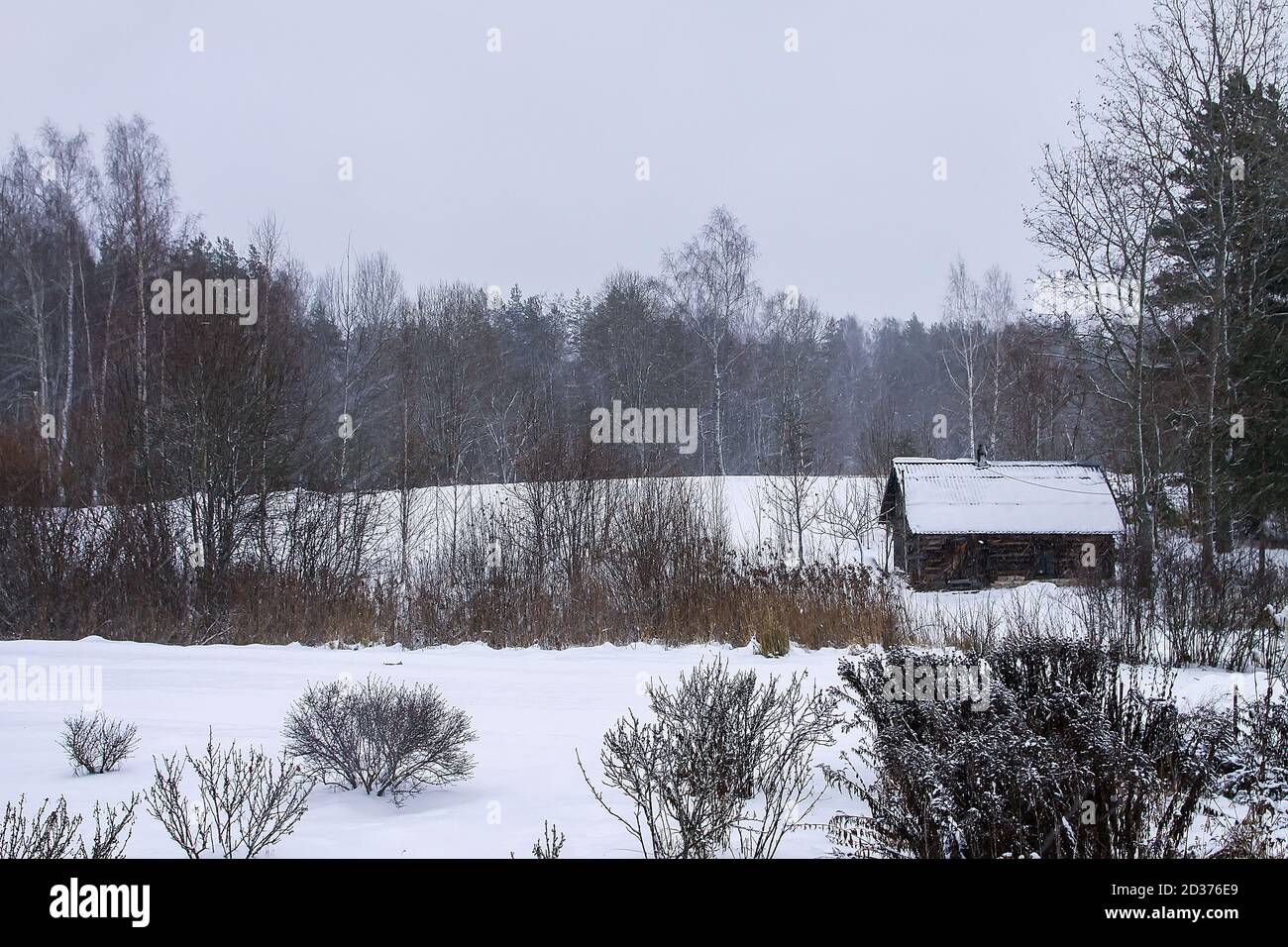 Beautiful winter landscape with trees in snow and old wooden bathhouse ...