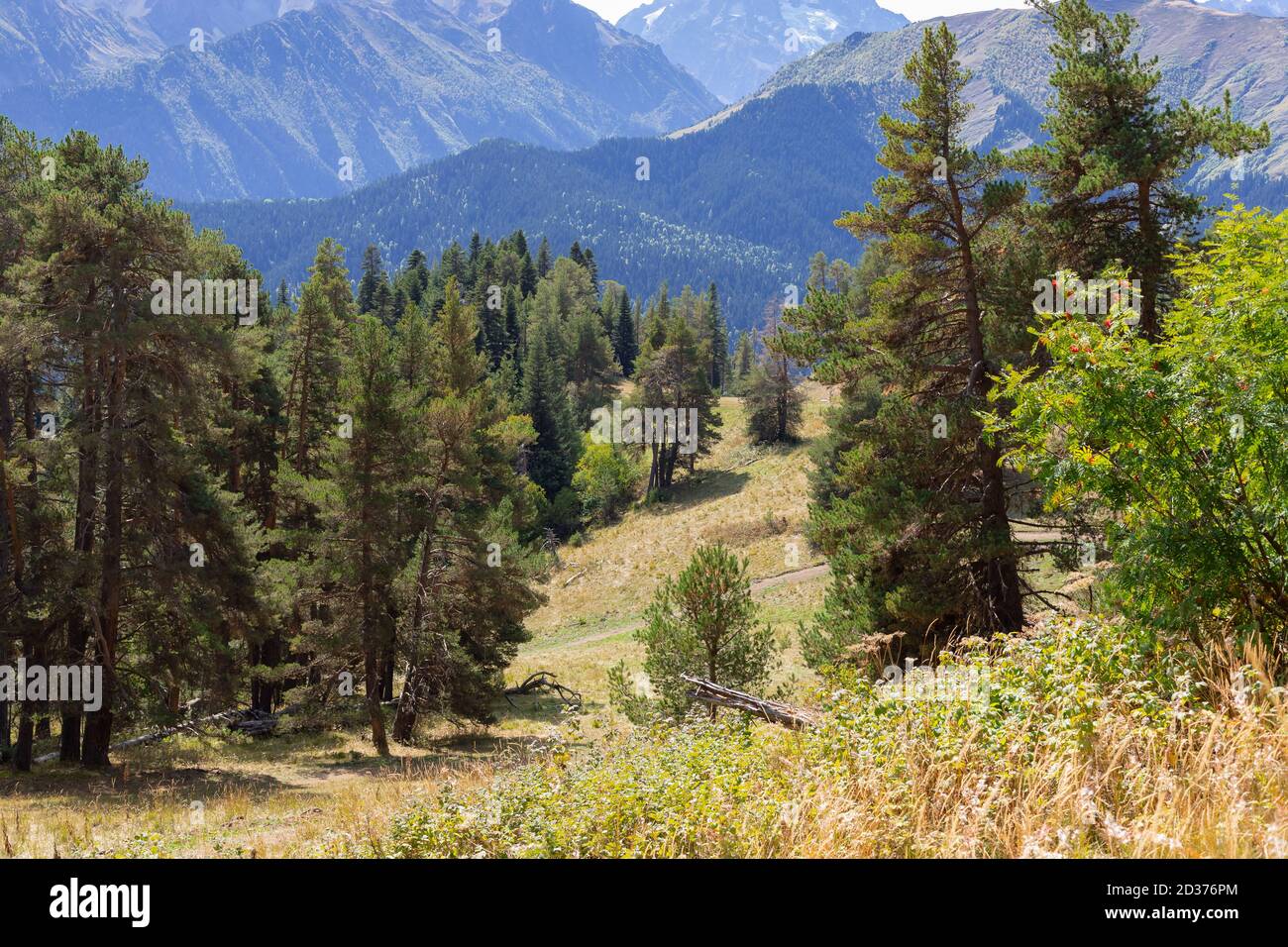 natural landscape in the mountains of the Republic of Karachay-Cherkessia, Russia. Stock Photo