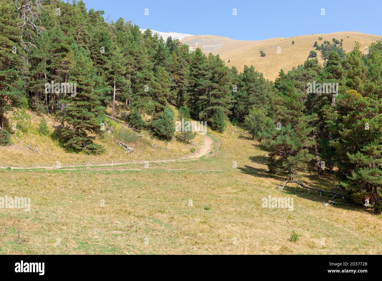 mountain valley with a hiking trail in the Republic of Karachay-Cherkessia, Russia. Stock Photo