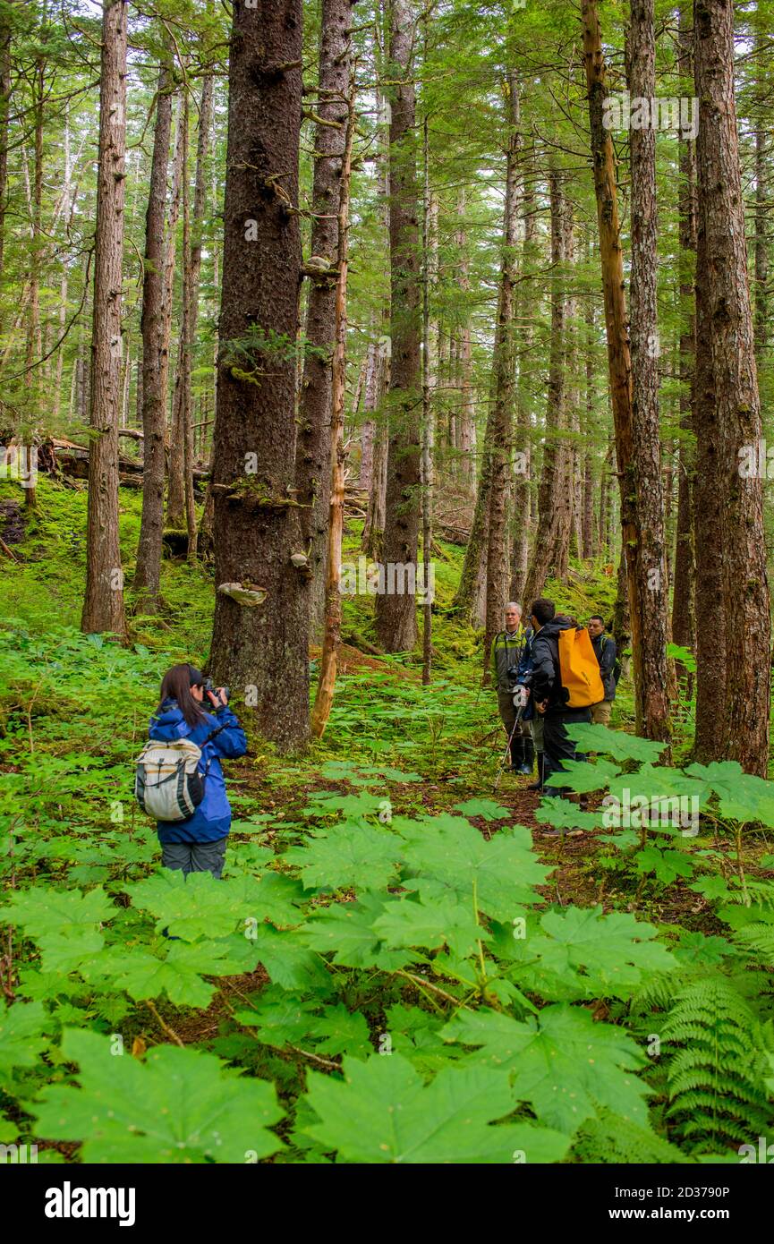 People hiking through forest at Idaho Inlet on Chichagof Island