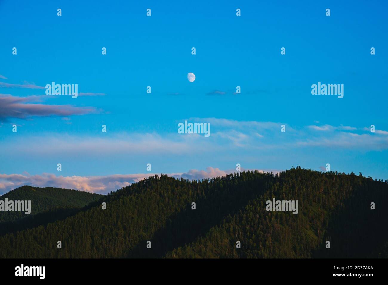 Minimal mountain landscape with big forest mountains under blue sky with violet clouds and moon on sunset. Beautiful sunny scenery with forest on big Stock Photo