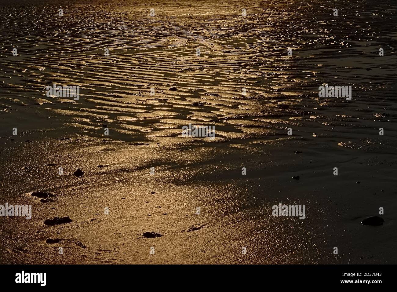 Background of wet rippling sand with golden evening light reflections Stock Photo