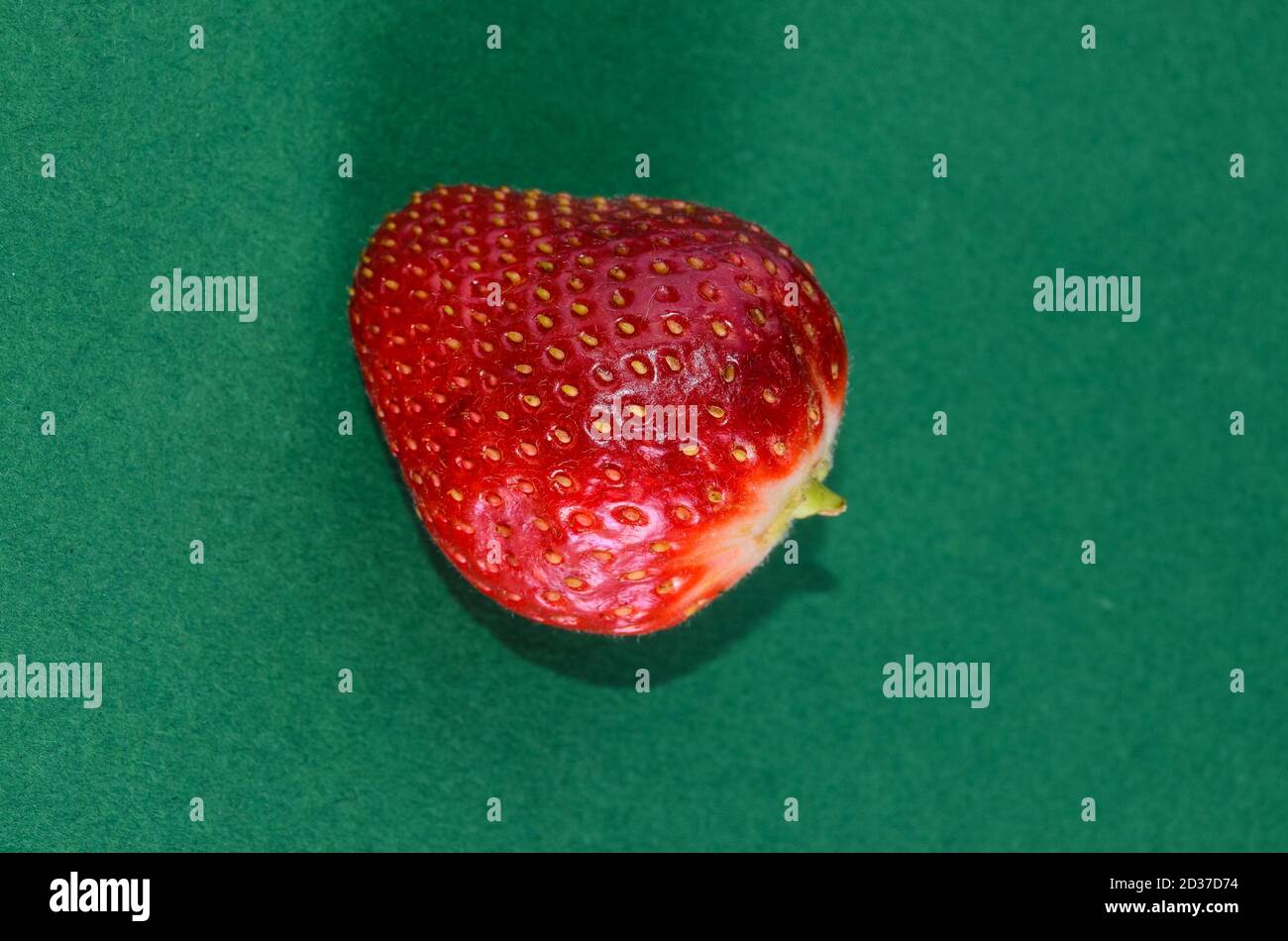Fresh Ripe Strawberry Stock Photo - Alamy