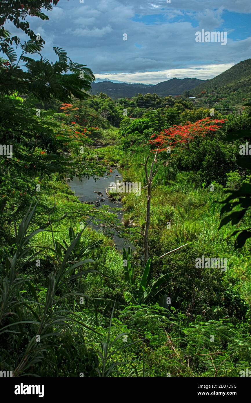 Mountains, Cayey Puerto Rico Stock Photo Alamy