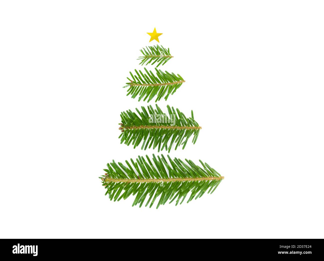 Christmas tree shape from fir tree branches on a white background Stock