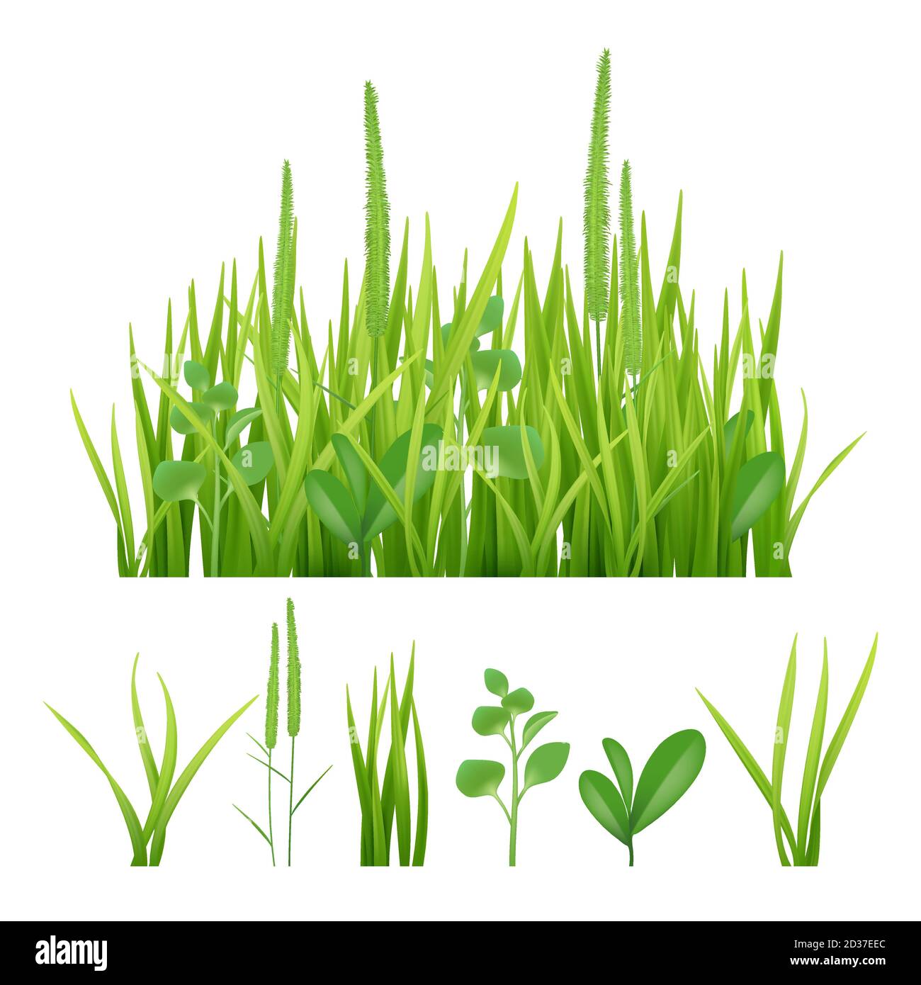 Green grass. Fresh garden elements nature vector pictures of herbs and