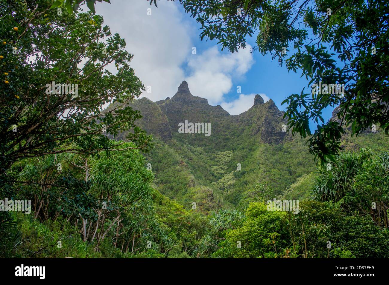 Limahuli garden hi-res stock photography and images - Alamy