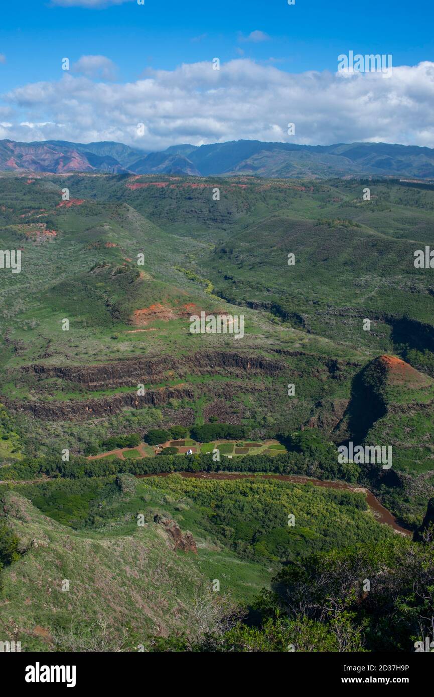 View of Waimea Canyon near Waimea on Kauai Island, Hawaii, USA. Stock Photo